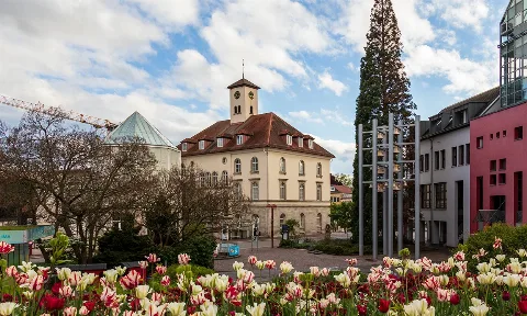 Housekeeping Service  Sindelfingen